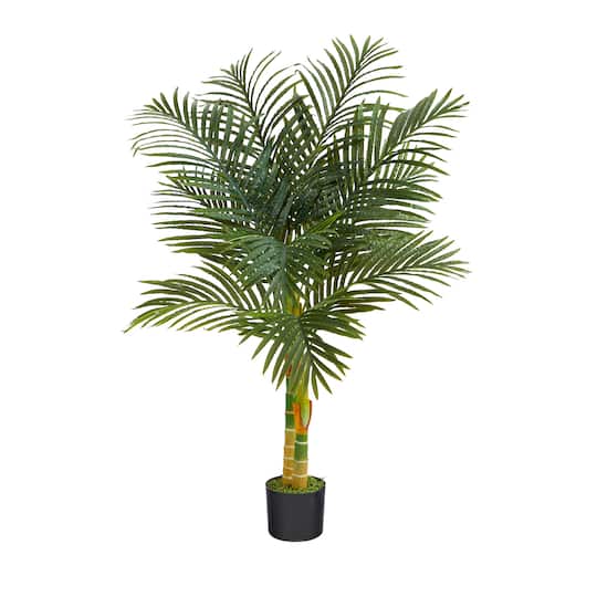 4ft. Potted Golden Cane Palm Tree